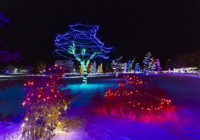 Christmas Lights Display