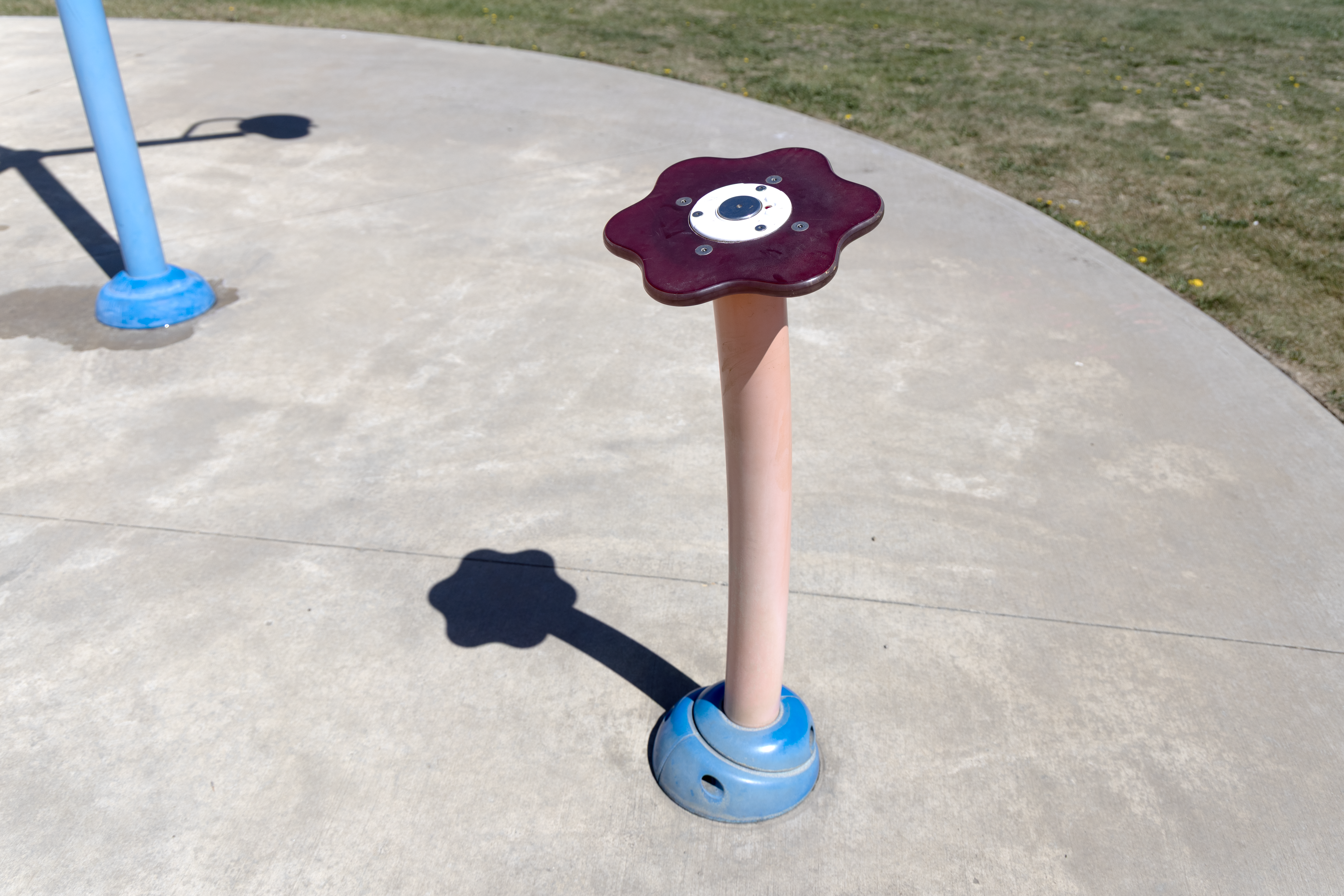 Flower Feature on Splash Pad