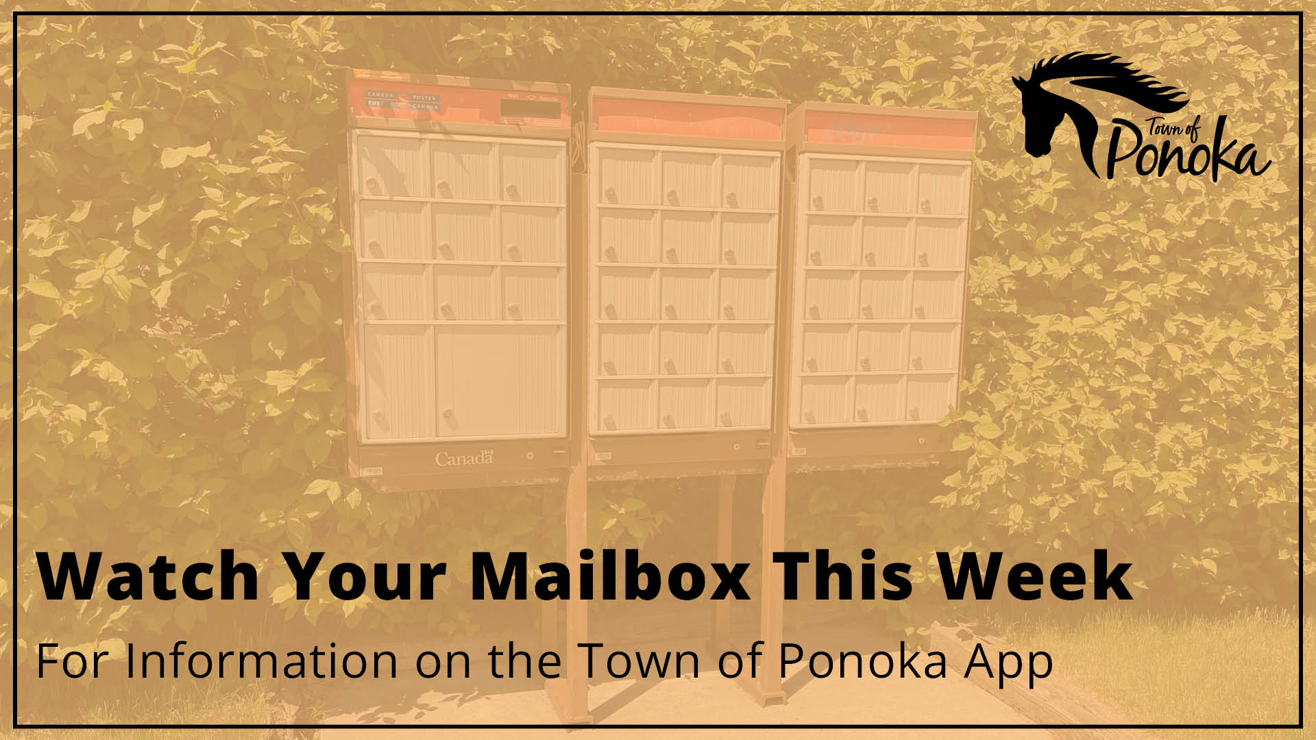 Watch Your Mailbox This Week