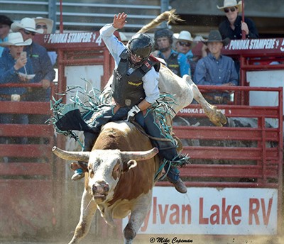 db16c13638783a7b15b4b86852b7566a5bef18db